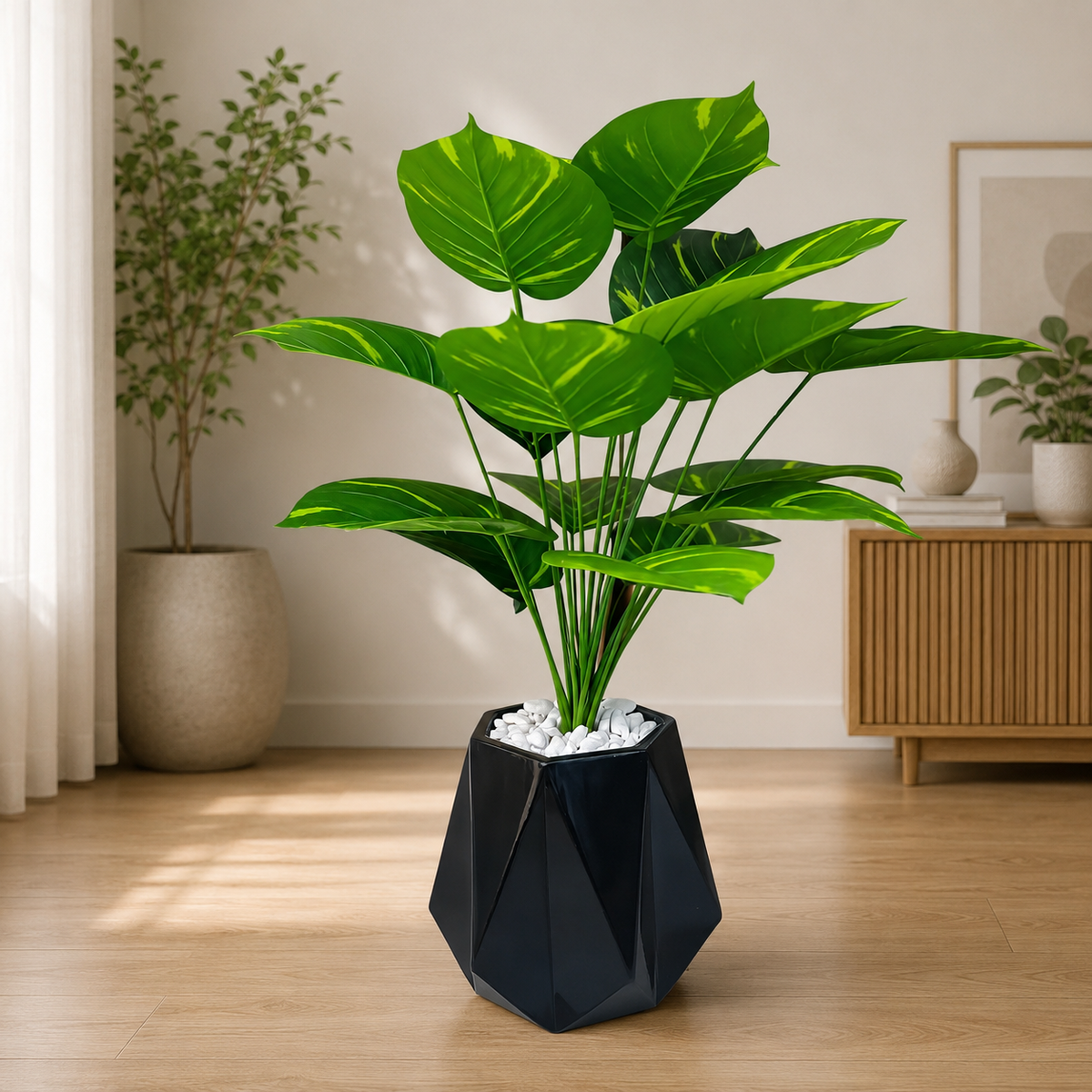 Diamond Planter with Money Plant