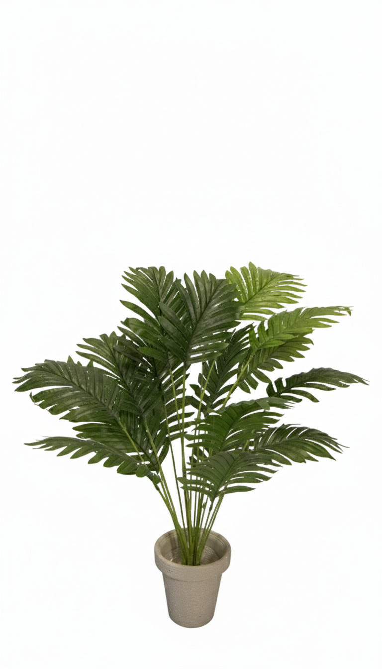 All Plants Style