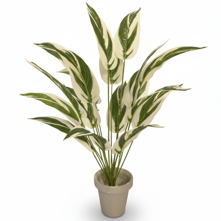 All Plants Style
