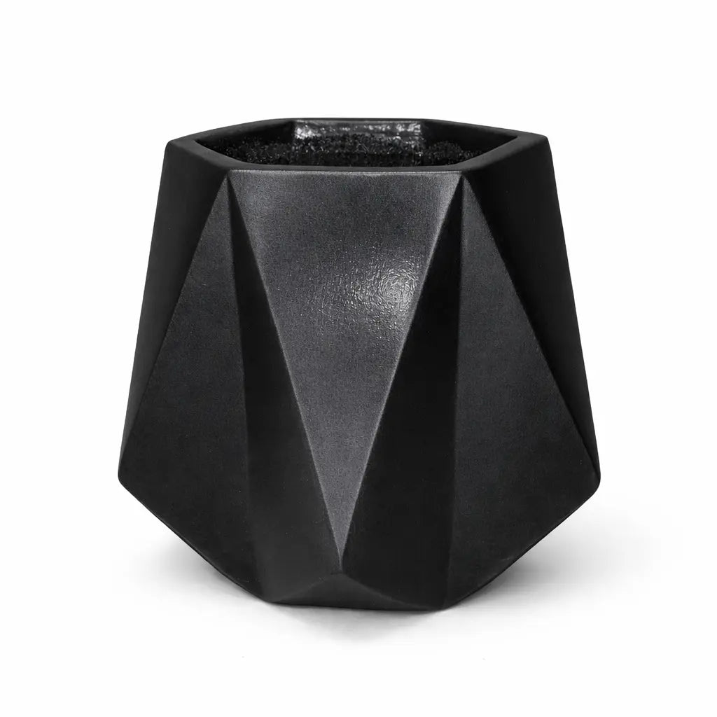 Diamond Planter with Money Plant