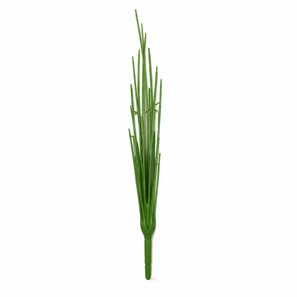 All Plants Style